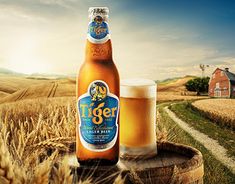 a beer bottle sitting on top of a wooden barrel in a wheat field next to a house