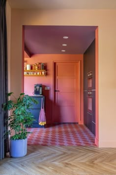 a kitchen with pink walls and flooring next to a potted plant on the counter