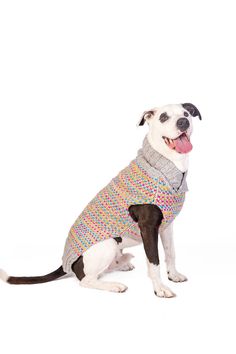 a dog wearing a sweater sitting on the ground with its tongue out and it's mouth open