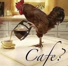 a rooster standing on top of a table next to a cup