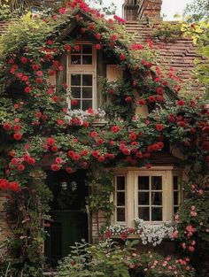 a house covered in red flowers and greenery