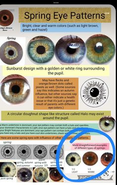 Color Seasons Eyes, Bright Spring Seasonal Color Analysis, Seasonal Eye Patterns, Summer Eye Patterns, Color Season Eye Pattern, Spring Eye Pattern Color Analysis, Bright Winter Eyes, Seasonal Color Analysis Eyes, Light Spring Eyes