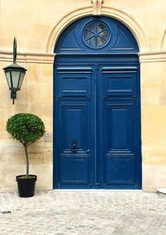 a blue door with two potted plants in front of it