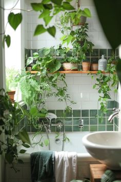 a bathroom with green plants hanging over the bathtub, and a sink in the corner