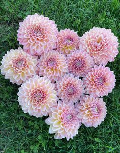 pink and yellow flowers are arranged in the shape of a heart on some green grass