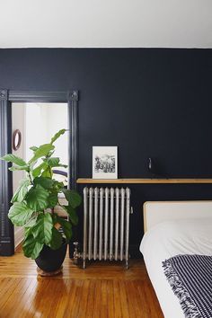 a bedroom with black walls, wooden floors and a large plant in the middle of the room