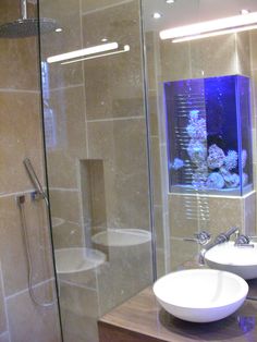 a bathroom with two sinks and a large fish tank in the shower stall next to it