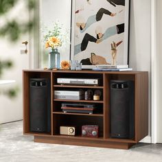 an entertainment center with speakers, books and pictures on the wall in front of it