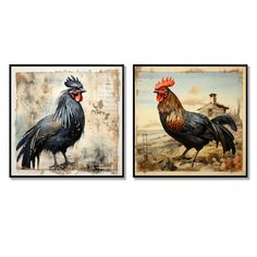 two framed pictures of roosters on a white background