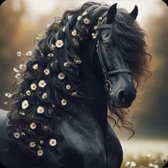 a black horse with flowers in its mane and long hair on it's back