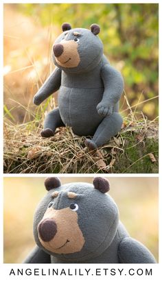 the stuffed bear is sitting in the grass and has two different pictures above it with text that reads, how to make your own stuffed teddy bear