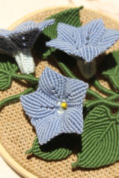 three blue flowers are sitting on a piece of fabric