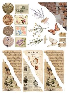 an old sheet of paper with some flowers and butterflies on it, along with other items