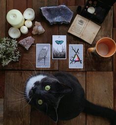 Under Your Spell, Eclectic Witch, Modern Witch, A Black Cat, Season Of The Witch, Witch Aesthetic, Witchy Woman, Witchy Vibes, Tarot Readers