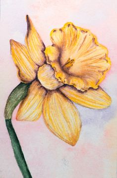 a drawing of a yellow flower on a pink background