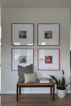 a room with pictures on the wall and a bench in front of it, along with a potted plant