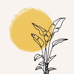 a drawing of a plant in front of a yellow sun