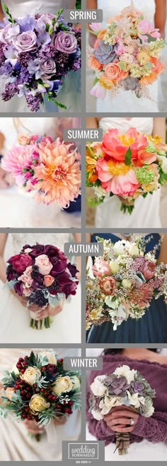 the different types of flowers are shown in this image, including pinks and purples