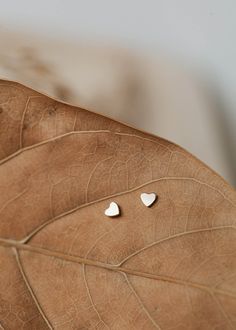 Simple, subtle, and sweet, these tiny heart studs are great for multiple piercings - but we also love them all on their own. Heart studs measure 3.5mm. Sold as a pair. Available in 14kt Gold Fill + Sterling Silver. Abbie pairs with our best selling Tiny Twist Earrings. Kyra pairs them with our Annex Studs. Our jewelry is handmade so each piece will be unique and may vary slightly from what is pictured. Simple Silver Earrings, Everyday Wear Jewelry, Multiple Piercings, Simple Stud Earrings, Tiny Heart, Heart Studs, Bracelet Collection, Jewelry Case, 14kt Gold