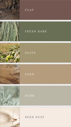 A mood board featuring an earthy tone color palette with swatches of brown, green, olive, sand, sage, and beige. The colors are arranged in a visually appealing layout to evoke the tranquility and natural beauty of a serene landscape. Ideal for inspiring branding projects, wellness designs, or elegant wedding themes, the palette combines rich, warm tones with soft, neutral hues to create a harmonious and sophisticated aesthetic. Pantone Earth Tone Colour Palettes, Olive Neutral Color Palette, Earth Color Palette Bedrooms, Olive And Beige Color Palette, Kitchen Pallete Color, Green Earth Color Palette, Earthy Greens Color Palette, Earth Green Color Palette, Earth Palette Colors