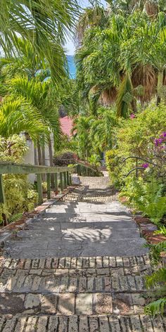 the walkway is lined with palm trees and flowers