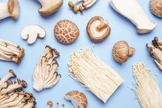 many different types of mushrooms on a blue background