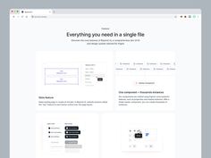 an image of a website page with the text everything you need in a single file