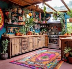 a kitchen filled with lots of potted plants