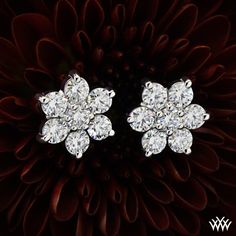 Diamond dazzlers - 0.75ctw Flower Cluster Diamond Earrings Luxury Brilliant Cut Flower Earrings For Anniversary, Luxury Cluster Earrings With Flower Shape For Anniversary, Luxury Flower Shaped Cluster Earrings For Anniversary, Luxury Cluster Flower-shaped Earrings For Anniversary, Luxury Flower-shaped Cluster Earrings For Anniversary, Classic Diamond Flower Cluster Earrings, Flower Shaped Brilliant Cut Diamond Earrings, Classic Diamond Cluster Earrings With Flower Shape, Fine Jewelry Flower Shaped Brilliant Cut Diamond Earrings