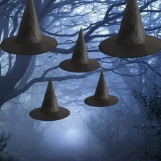 four cones are in the middle of a foggy forest