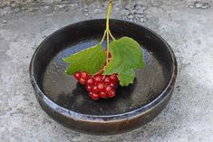 a black plate with some red berries and green leaves on it, sitting on the ground