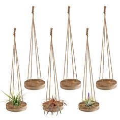 PRICES MAY VARY. [Rustic Decorations] Our hanging air plant holders are made using the burnt wood process, resulting in unique colors and textures on the surface. They blend well into the surroundings and every visitor to your home will be impressed by these cute decorations. Tips: This product does not contain any plants. [Reliable & Durable] These air plant hangers made from quality wood are thick and moisture resistant. Four jute ropes are so strong that you don't have to worry about them bre Air Fern, Air Plant Hanger, Succulent Display, Support Pour Plante, Burnt Wood, Support Plante, Hanging Plant Holder, Mini Cactus, Small Succulents