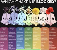 Chakra Meditation Guided, Zodia Pești, Arte Yoga, Yoga Facts, Chakra Art