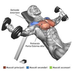 an image of a man doing exercises with dumbbells and barbell curls in order to gain muscle mass