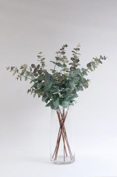 a vase filled with lots of green leaves and branches on top of a white table