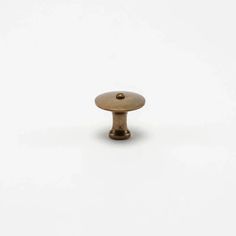 an antique brass cabinet knob on a white background