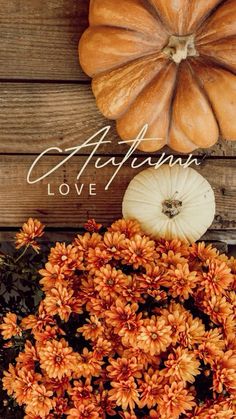 an autumn card with pumpkins and flowers in front of it on a wooden background