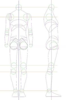 an image of a man's body with the measurements for his torso and head