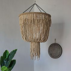 a chandelier hanging from the ceiling next to a potted plant