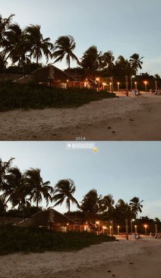 two pictures of palm trees on the beach at night