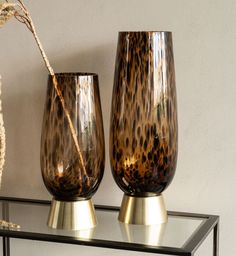 two vases sitting on top of a glass shelf next to a roped plant