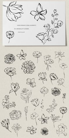 an image of flowers drawn in ink on paper