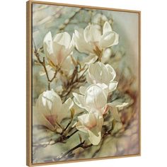 white flowers are blooming on a tree branch in the spring or fall time canvas wall art print