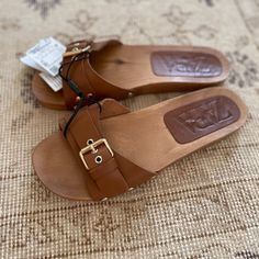 Brand New Zara Wooden Sandal Brown / Wood With Gold Buckle. Size 40 / 9 Brown Flat Heel Mules For Summer, Chic Brown Sandals For The Beach, Brown Flat Sandals With Buckle Closure, Brown Closed Toe Mules For Beach, Brown Flat Heel Mules For Beach, Brown Closed Toe Mules For The Beach, Brown Adjustable Strap Footbed Sandals For Summer, Brown Flat Mules For Summer, Beach Mules With Buckle Closure And Flat Heel