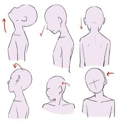 how to draw the head and shoulders in different positions, with instructions for each side