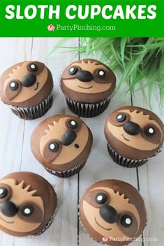 chocolate cupcakes decorated like sloth faces with grass in the background and text overlay