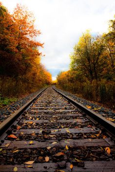 an old train track with leaves on it