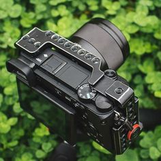 an overhead view of a camera on a tripod in front of some green plants