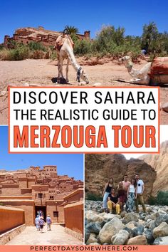 Ever wondered what a tour through the Sahara desert looks like? Unveil the reality behind the dreamy dunes and starlit nights. Get an insider's view of the Moroccan Merzouga tour, its pros, cons, and what to truly expect. Be prepared for the journey of a lifetime! Move Abroad, Sahara Desert, Holiday Planning, Budget Travel Tips, Free Travel, Packing Tips, Budget Travel, Travel Blogger