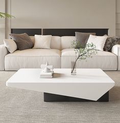 a living room with a couch, coffee table and plant in the centerpieces